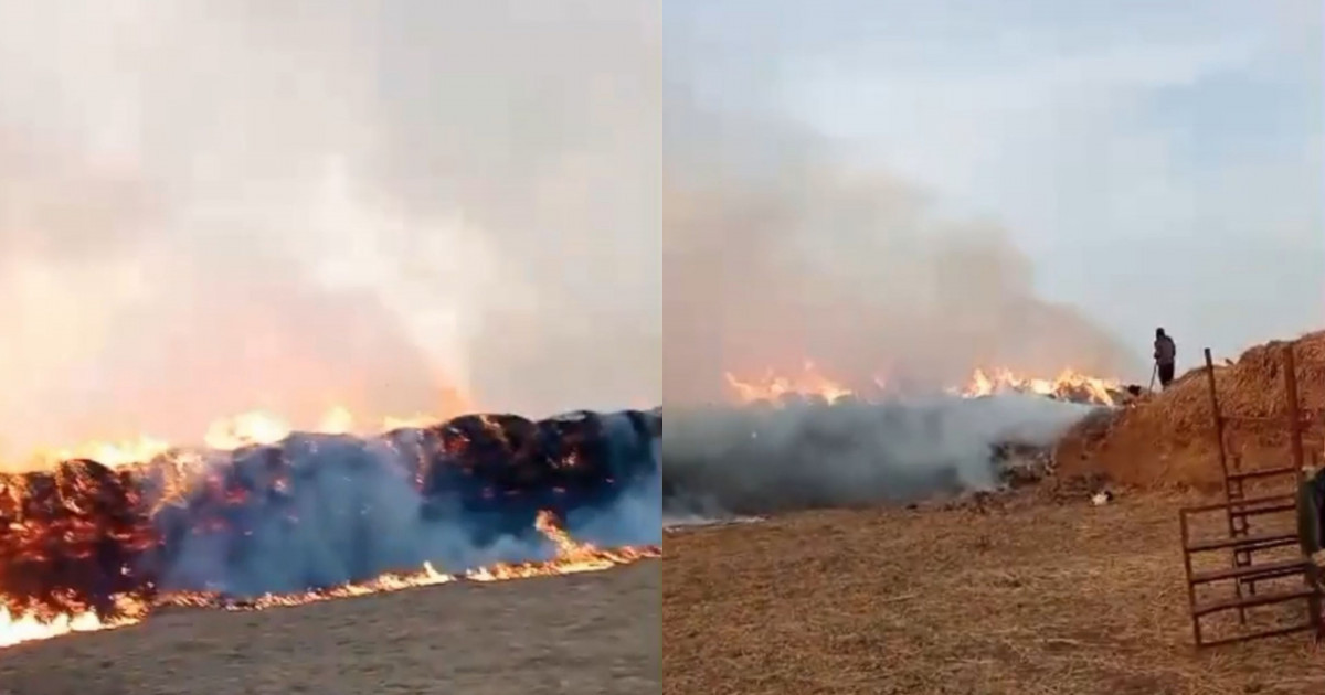 Атырау облысында 250 тонна шөп өртке оранды