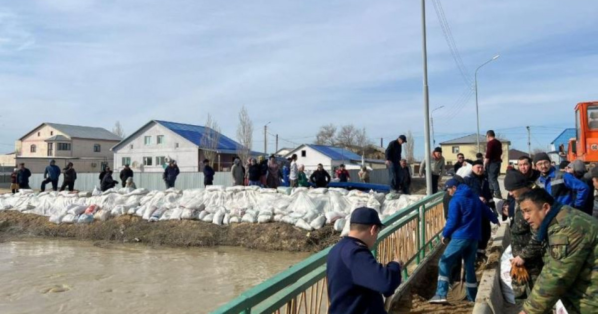 Депутат елу мың қап жеткізді