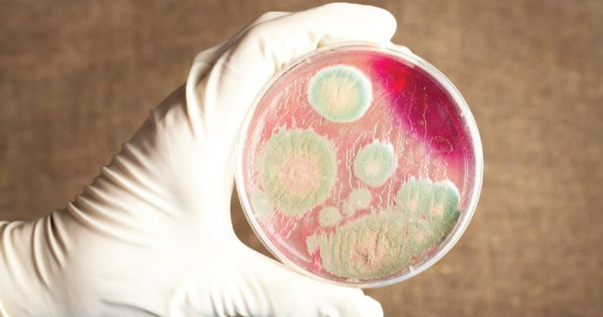 Індет қаупі бар ма?