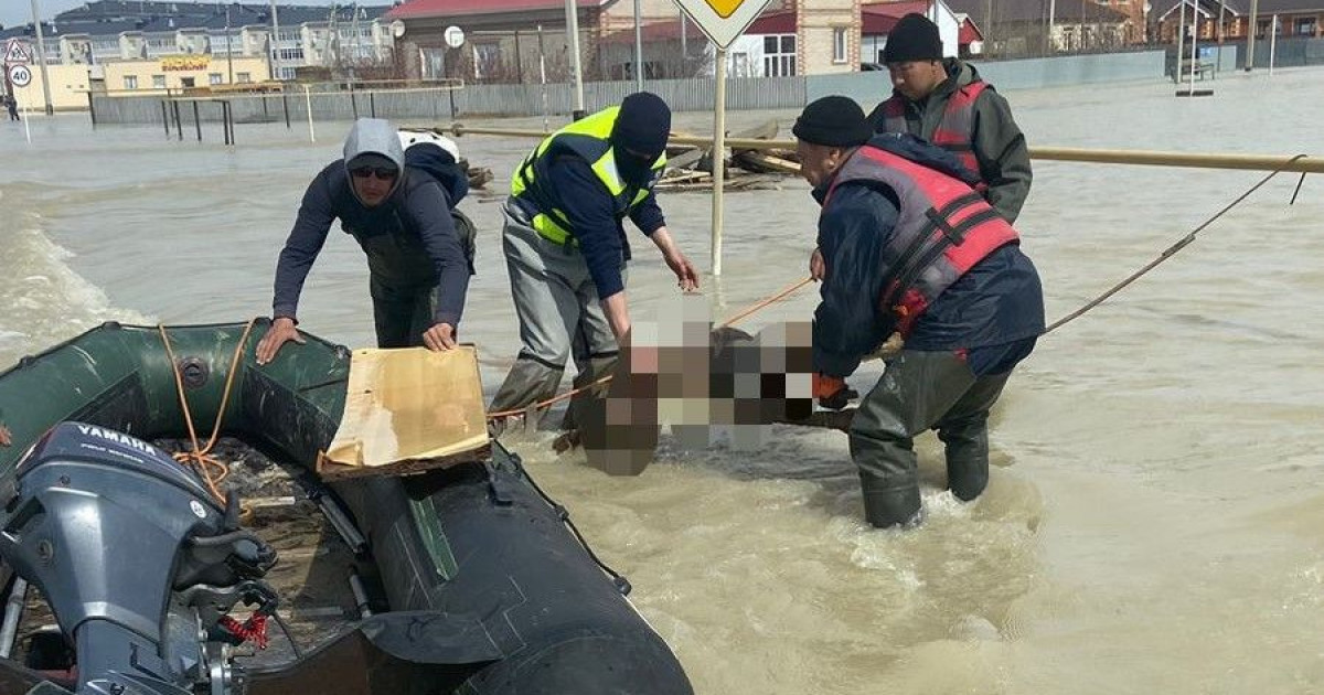 Құлсарыға барған құтқарушылар күтпеген жағдайға тап болды