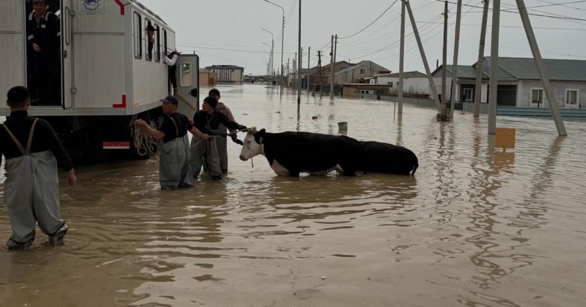 Мәулен Әшімбаев: Тасқынға тосқын болу – ортақ іс