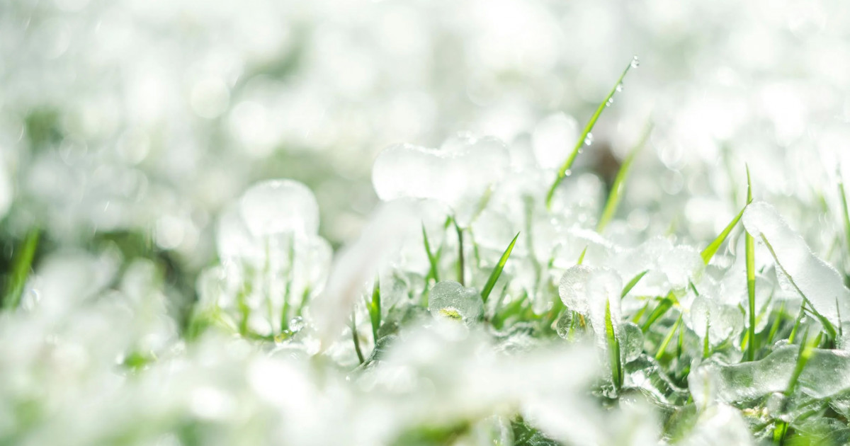 Найзағай ойнап, бұршақ жауады: мамыр айына арналған ауа райы болжамы