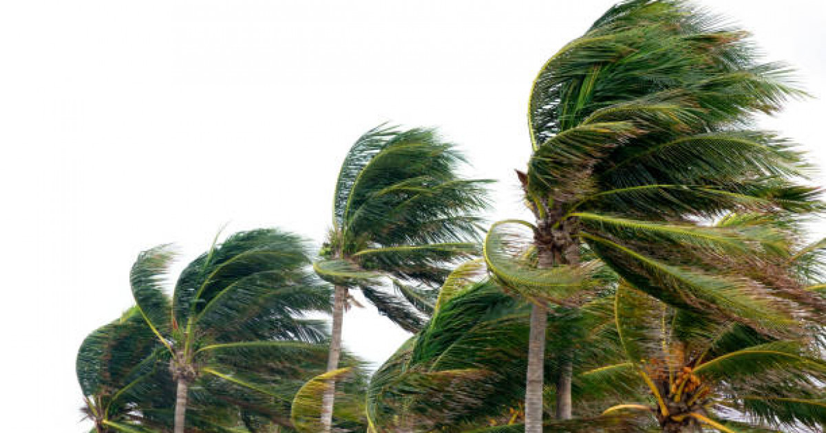 Найзағай ойнап, жел соғады: синоптиктер еліміздің барлық өңіріне ескерту жасады