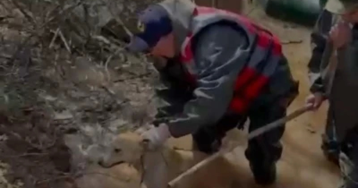 Оралда Жайық өзеніндегі су деңгейі 8 сантиметрге көтерілді