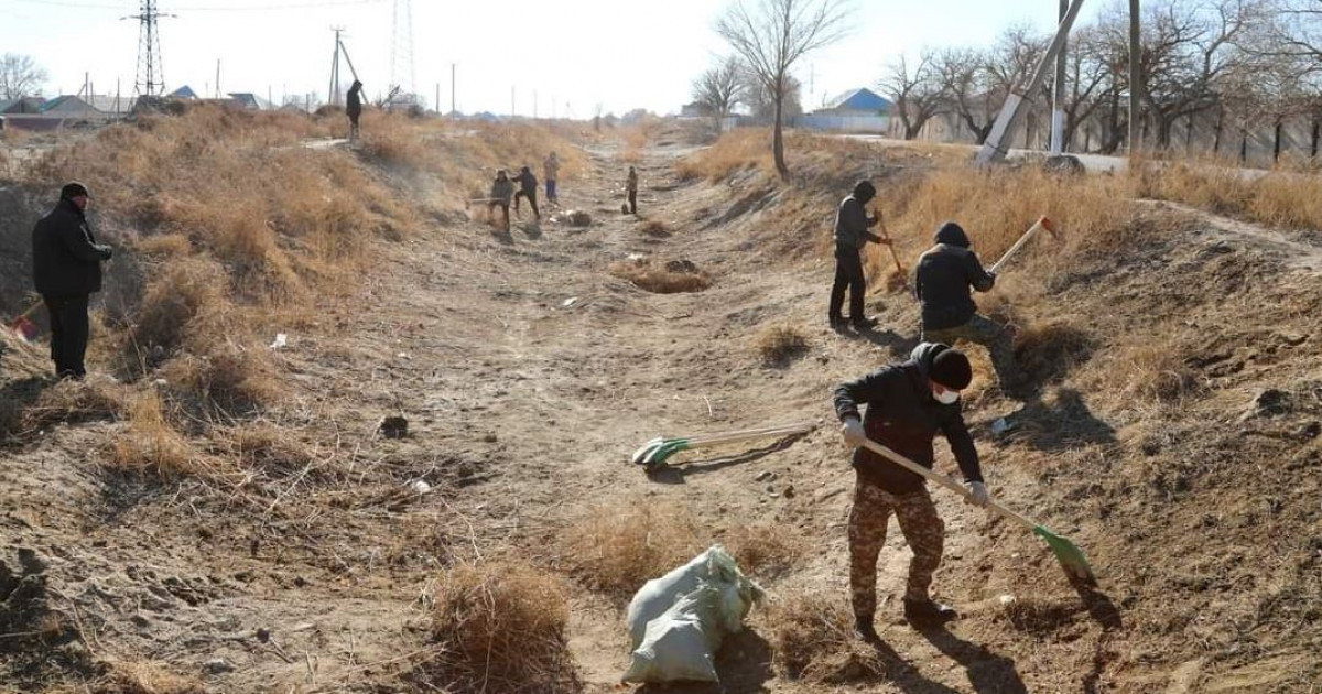 Оталған орман емес, көктеген көшеттер көрсек...