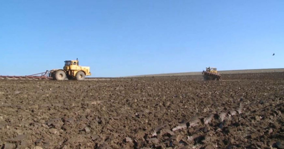 Салық та диқанға қолбайлау болды