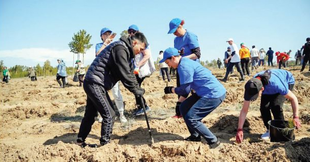 Семей орманы бұрынғы қалпына оралады