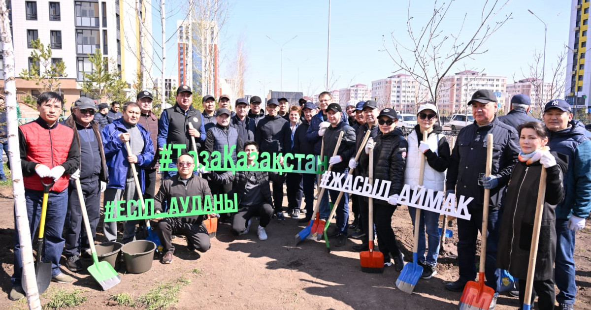 Сенаторлар 