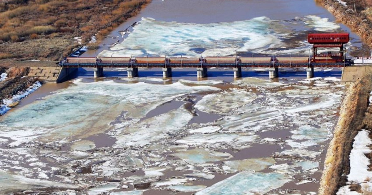 Су астындағы тіршілік