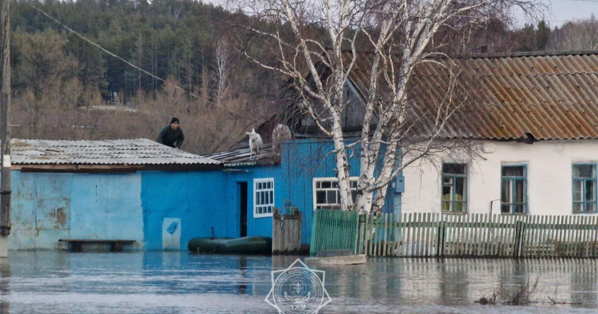 Су қоймаcын салу керек – депутат Берік Бейсенғалиев