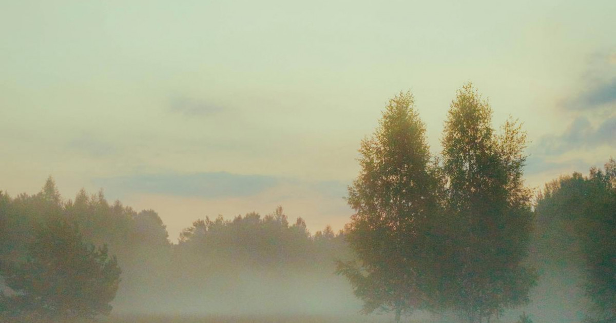 Тұман түсіп, жел күшейеді: ауа райына байланысты 13 өңірде ескерту жарияланды