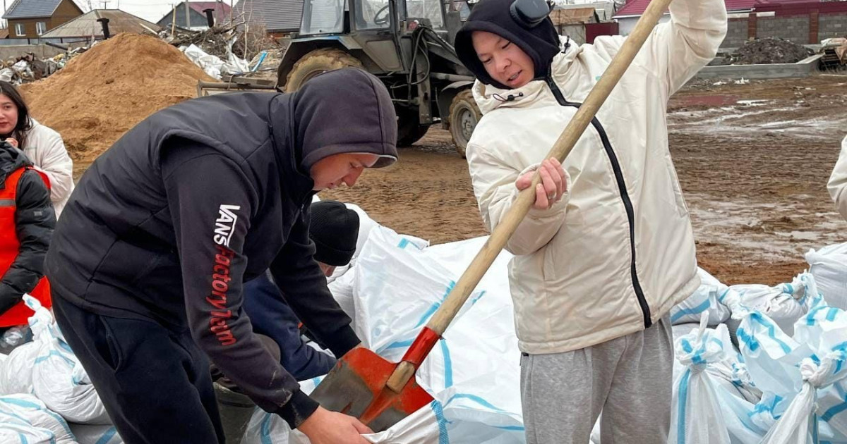 «Жастар рухы»: Ақмола облысында 500-ге жуық волонтер көмек көрсетіп жатыр