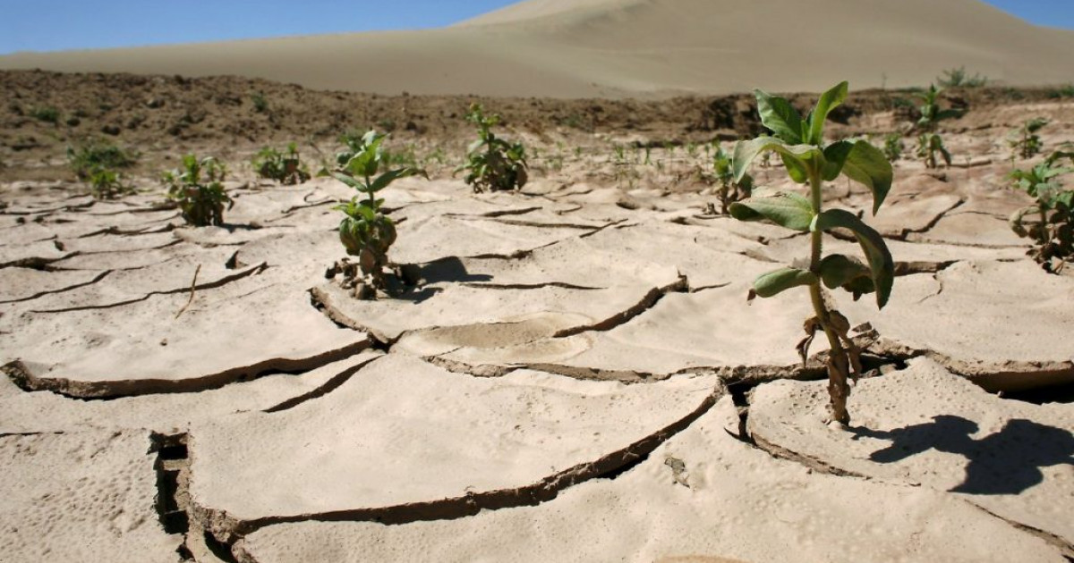 Еліміздегі үш облыста құрғақшылық басталады