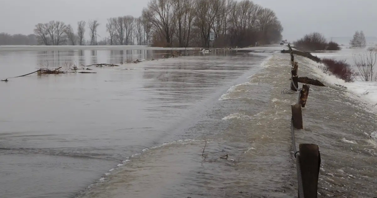 Кіші Үлбі және Бұқтырма өзендерінде су деңгейі көтерілді – ТЖМ