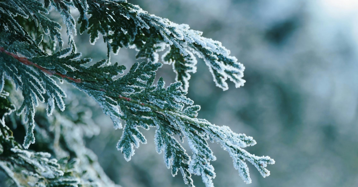 Найзағай ойнап, үсік жүреді: 2 мамырға арналған ауа райы болжамы