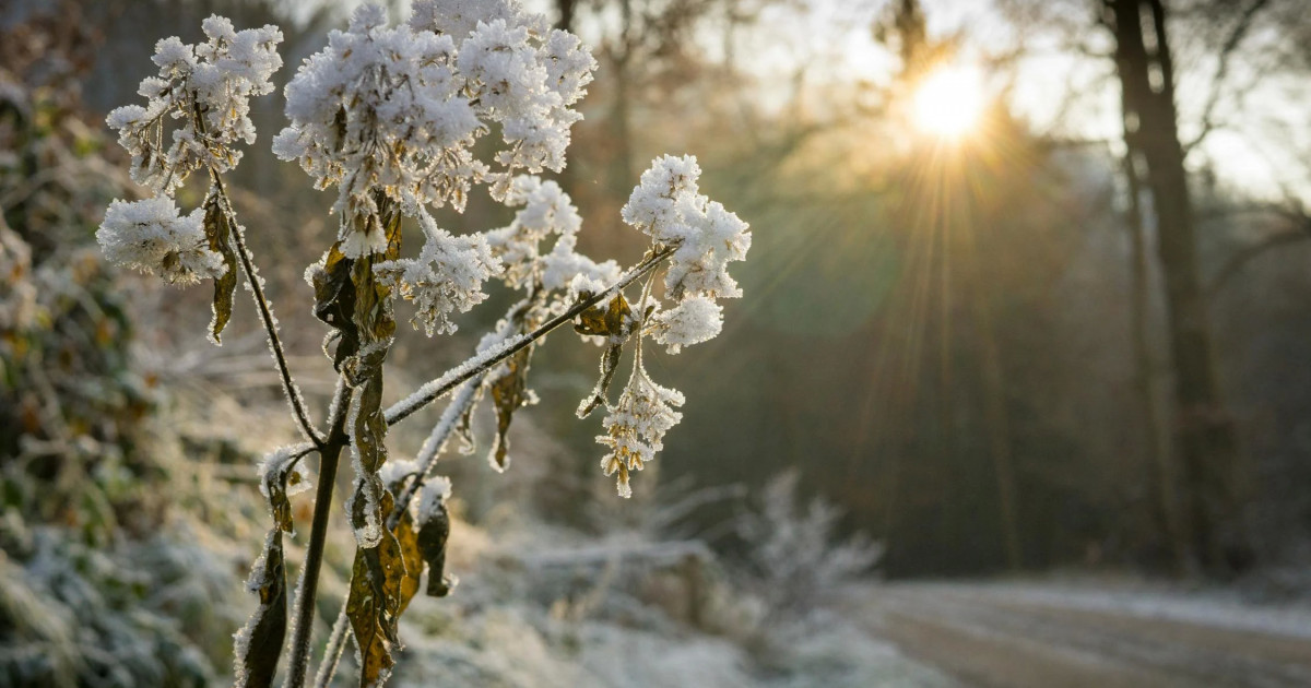 Найзағай ойнап, үсік жүреді: 8 мамырға ауа райы болжамы