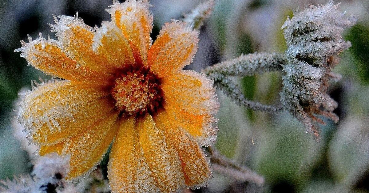 Жаңбыр, бұршақ, 3 градус үсік: 7 мамырға ауа райы болжамы жарияланды