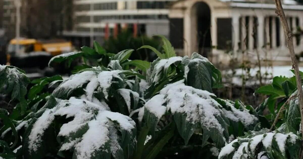 Жаңбыр, қар, 3 градус үсік: 4 мамырға ауа райы болжамы жарияланды