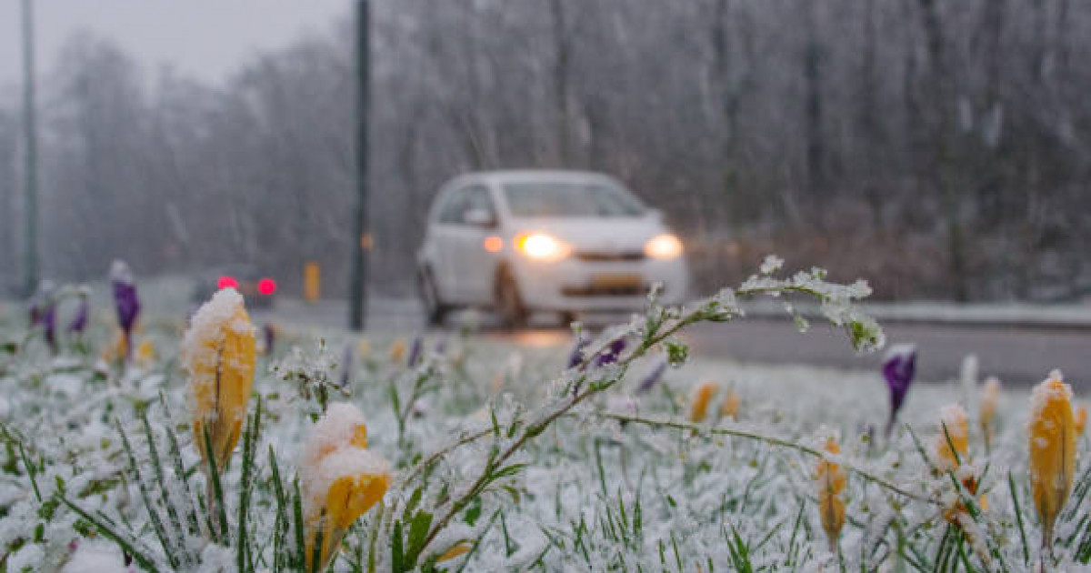 Жауын-шашын, қар: 4-6 мамыр аралығына арналған ауа райы болжамы