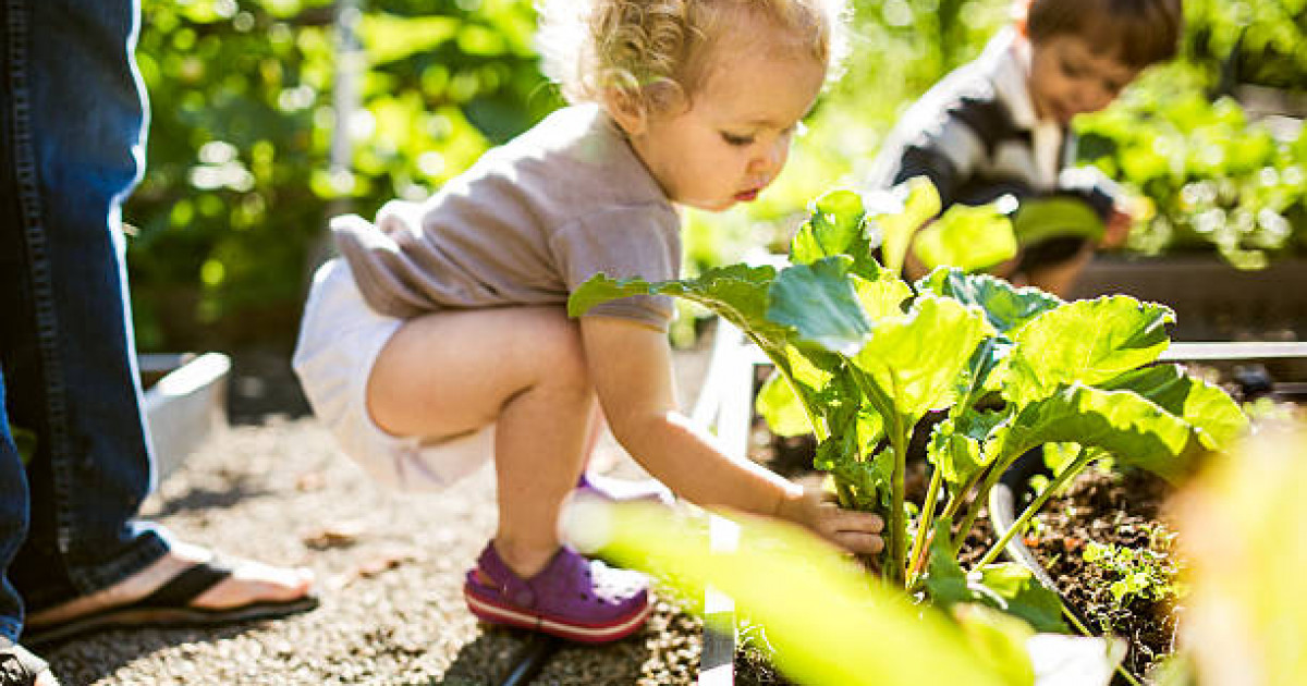 Павлодар: балабақшада үш қабатты кереует баланың үстіне құлап кетті