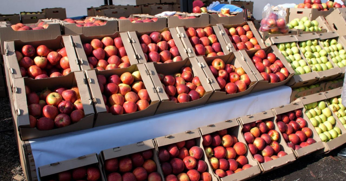 Астанадағы жәрмеңкеге Абай және Қызылорда облысының шаруалары азық-түлік алып келді