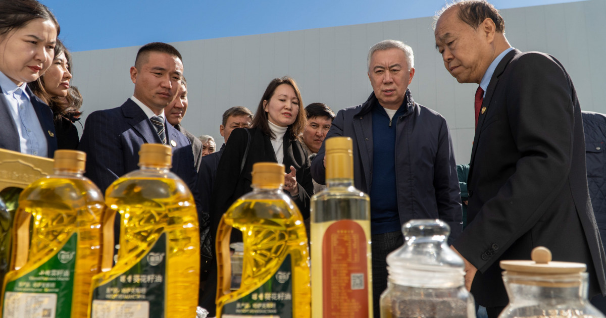 СҚО-да қазақстандық өнімді өңдеп, Қытайға экспорттау бойынша ірі орталық құрылмақ