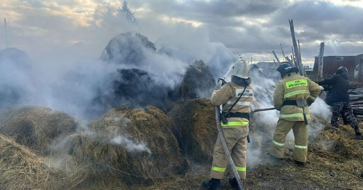 Ақмола облысында 7,5 тонна шөп өртке оранды