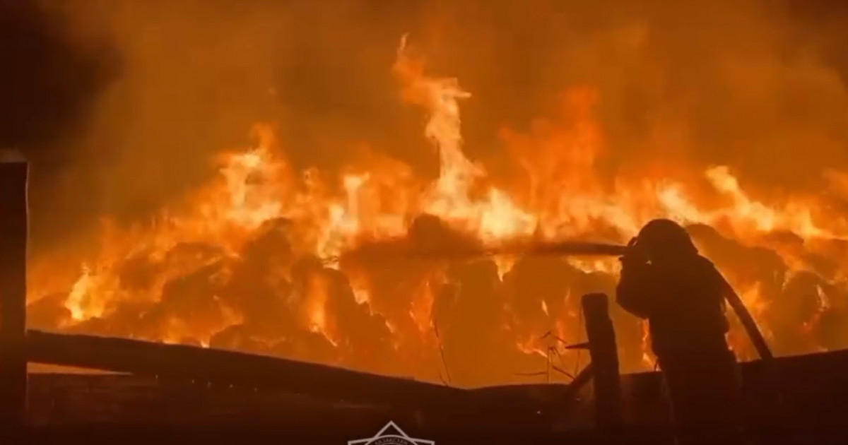 Шығыс Қазақстан облысында шөп қоймасы өртенді