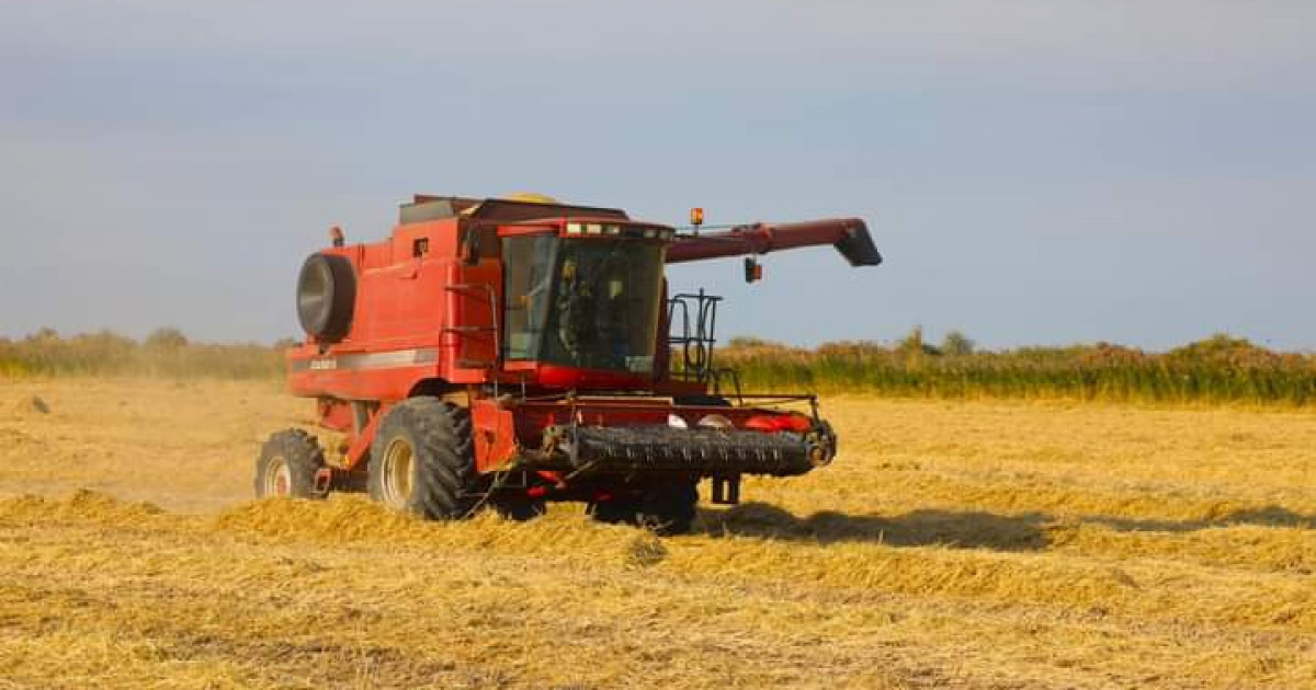 Сыр диқандары рекордты көрсеткішке жетті