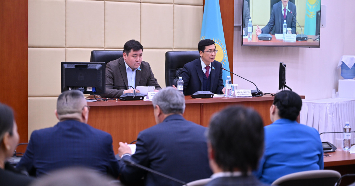 Мәжілісте креативті индустрияны дамыту мәселелері талқыланды