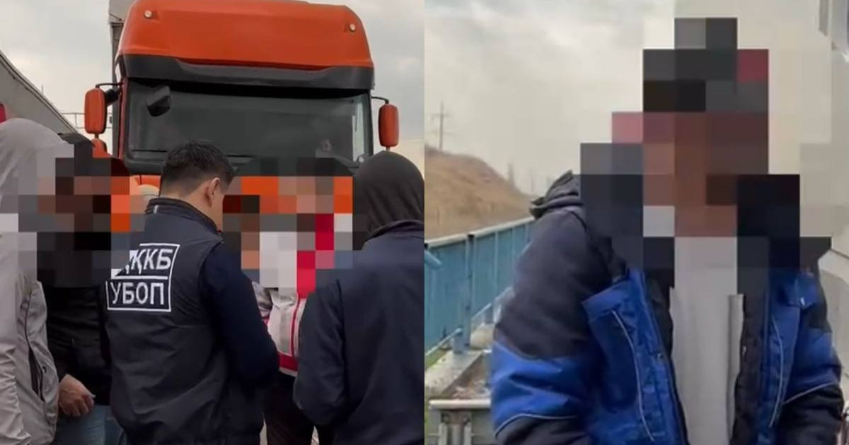Түркістан облысында заңсыз көші-қонмен айналысқан адамдар ұсталды