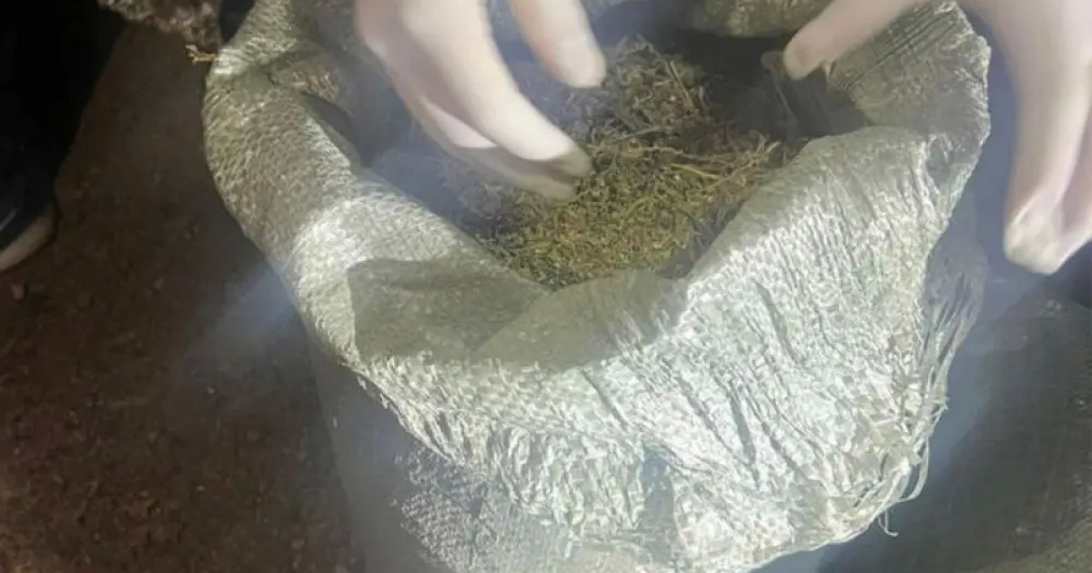 Жамбыл облысында есірткі сатпақ болған екі қылмыстық топ мүшелері ұсталды