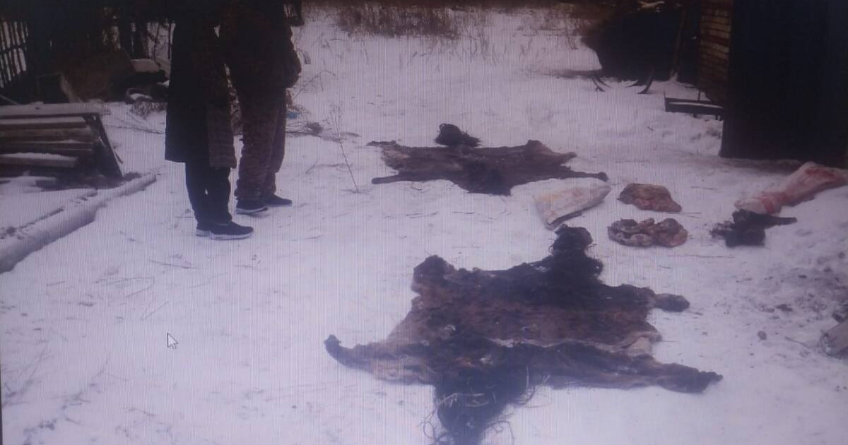 Жайылымнан 25 бас жылқы ұрлағандар ұсталды