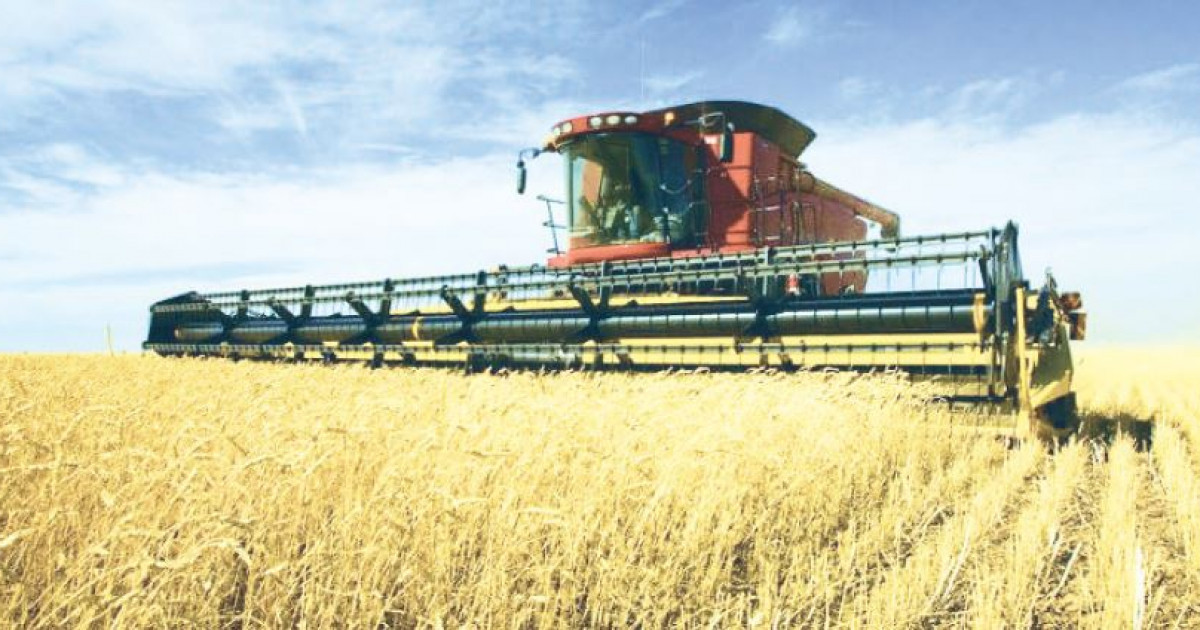 Астық экспорты 1,5 млн тоннаға жетпек