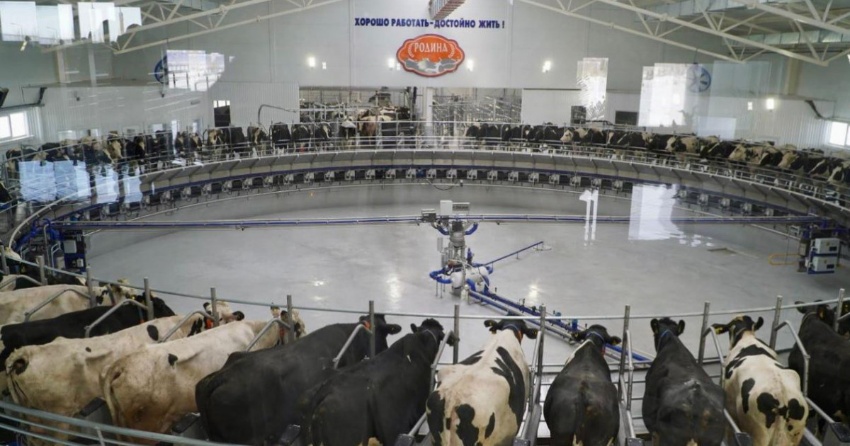 Ақмола облысы елордаға сүт өнімдерін жеткізуді 50%-ға дейін арттыруды көздейді