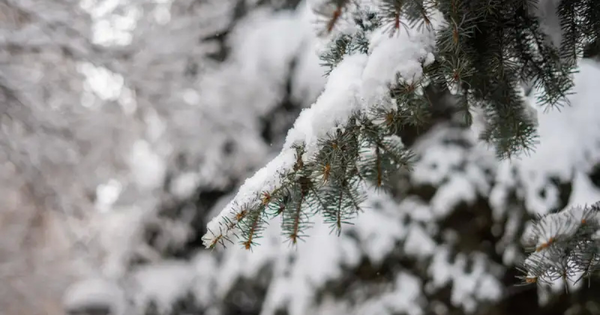Алдағы күндері ауа температурасы 12 градусқа дейін жылынады