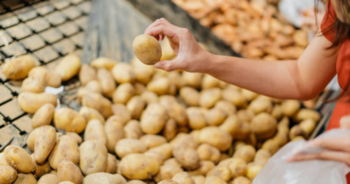 Астанадағы бірнеше супермаркет желісінде картоп бағасы арзандады