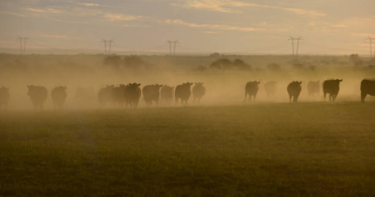 Ауыл шаруашылығы министрлігі маңызды мәлімдеме жасады