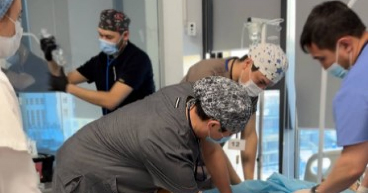 Босандыру қызметі дәрігерлерінің білімін бағалау бағдарламасы іске қосылды