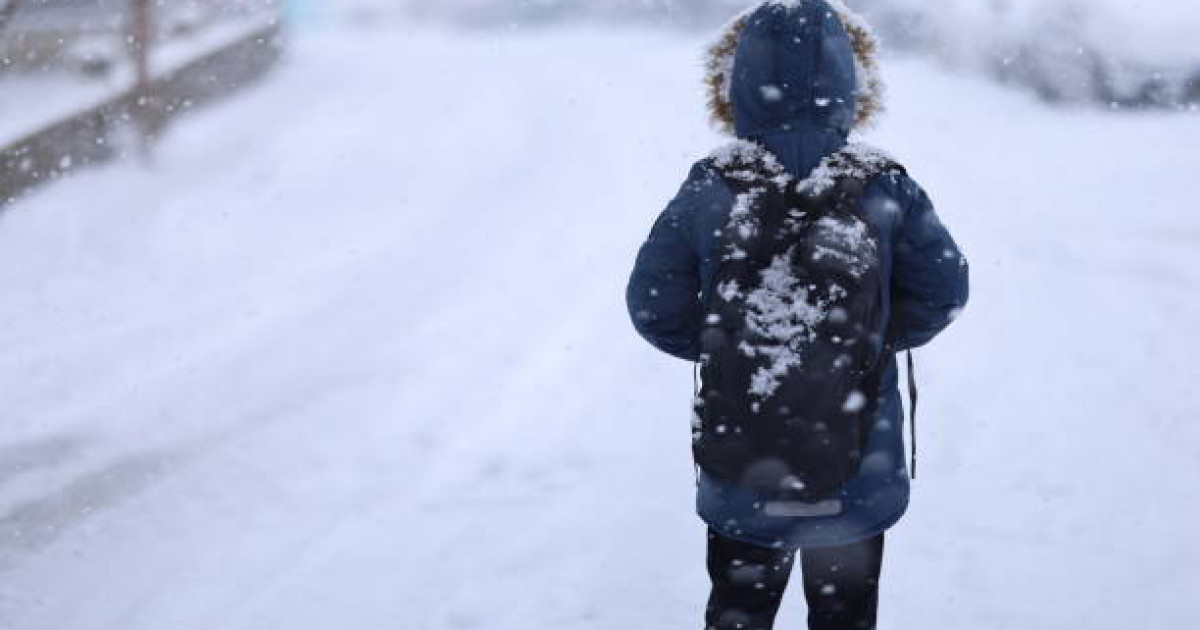 Ертең бірқатар өңірде мектептер онлайн оқиды