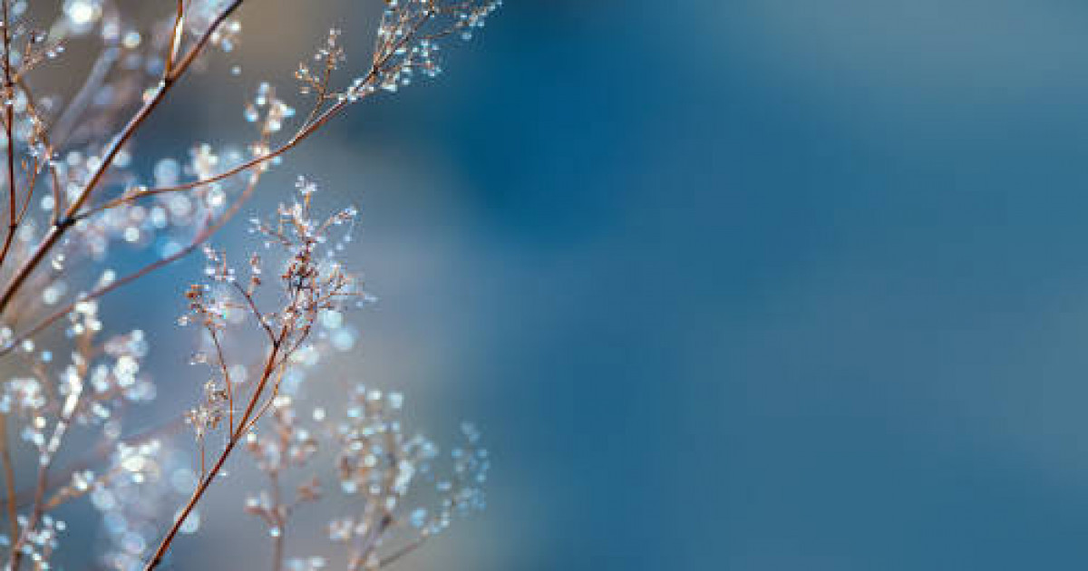 Жексенбі күні елдің басым бөлігінде тұман түсіп, көктайғақ болады