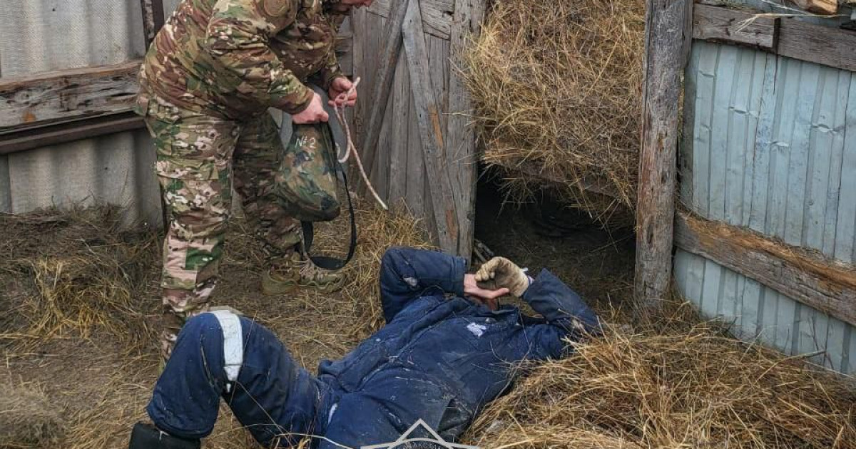 Ауыл тұрғынын 300 келі  шөп басып қалды