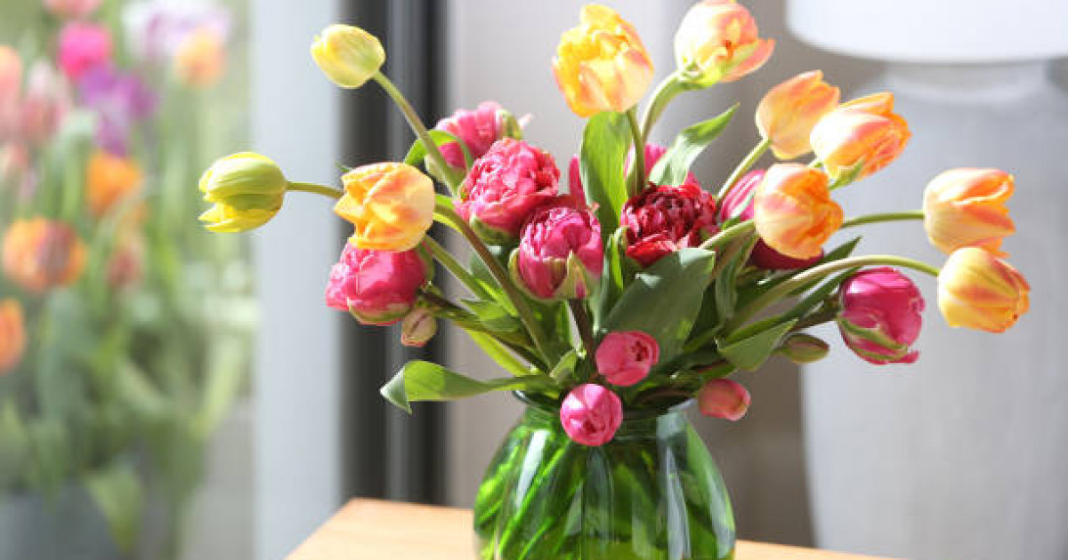 Наурызда қазақстандықтар қанша күн демалады?