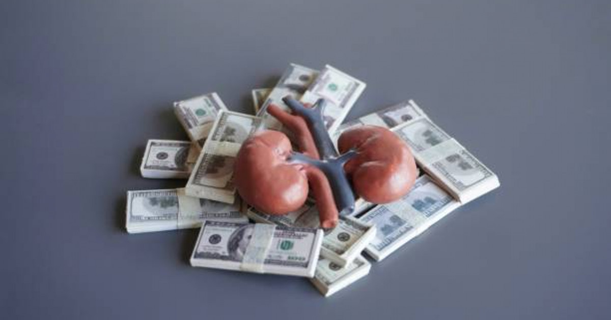 Қазақстандықтардың бүйрегін сатып, ұсталған келіншек 12 жылға сотталды