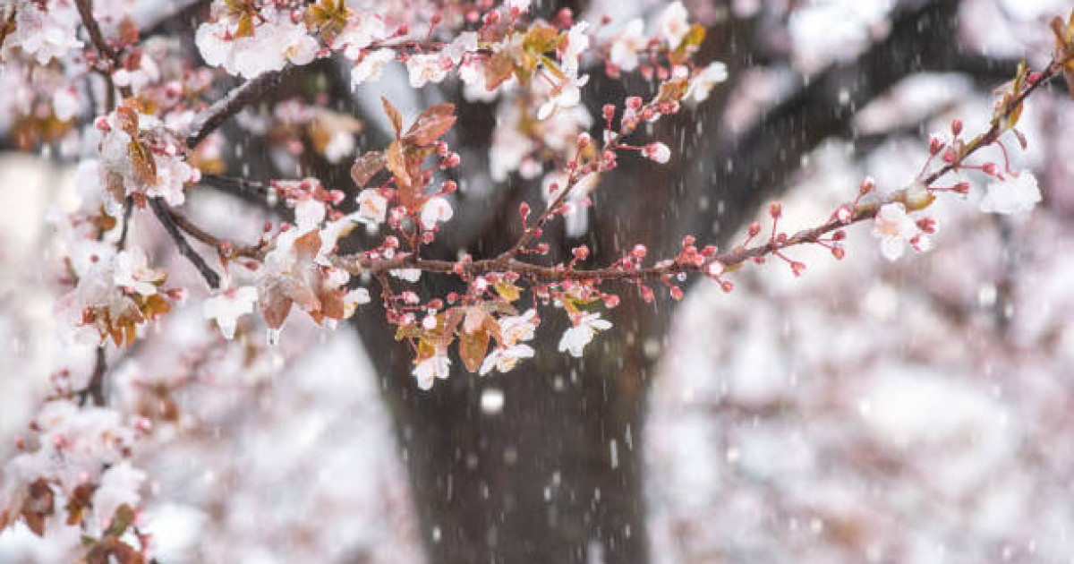 Ауа райы болжамы: елдің көп бөлігінде жауын-шашын