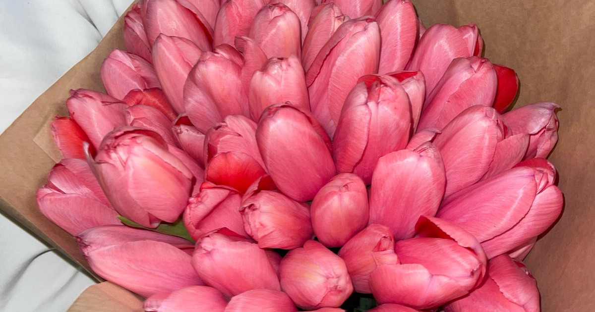 Мерекелік дүрбелеңнен кейін: 1 500 теңгеге сатылған қызғалдақ қазір 200 теңге тұрады