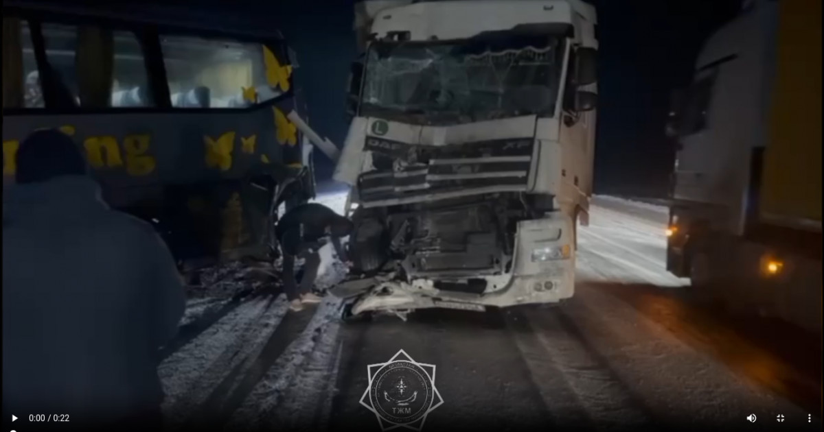 ТЖМ құтқарушылары 33 шетел азаматын эвакуациялады