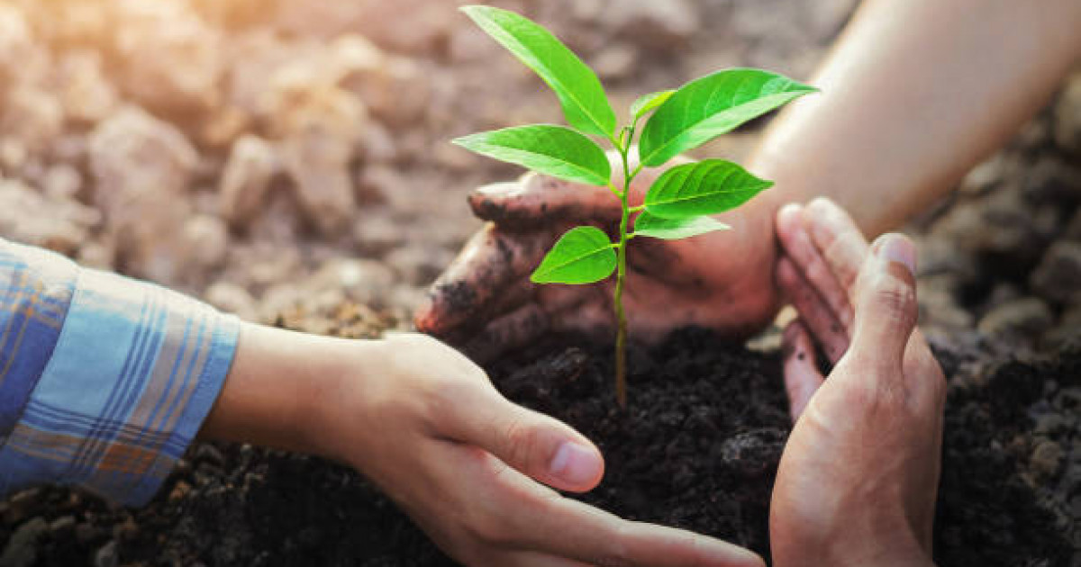 Жаңару күні: табиғатты түлету – болашақ үшін игі іс