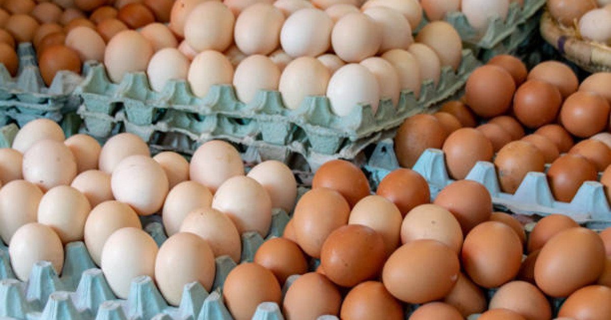 Елде жұмыртқа бағасы арзандады