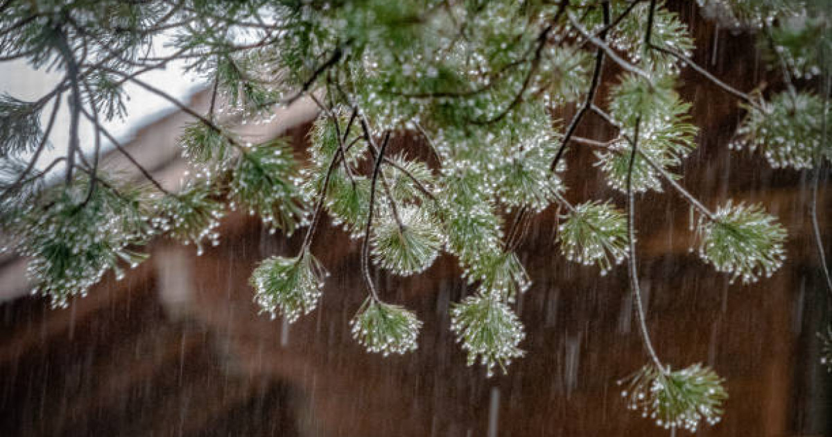 Қар жауып, бұрқасын соғады: сенбіге арналған ауа райы